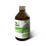 Hamvaskéreg gomba (Chaga) teljes spektrumát tartalmazó folyékony kivonat 250 ml - Life Spirit