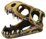 Happet Dínókoponya műgyanta akvárium dekoráció (100 mm)