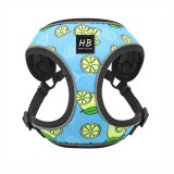 HAPPY BULLDOG citromos komfort kutyahám, L-es