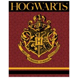 Harry Potter Crest coral fleece polár takaró 120x150cm