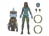 Hasbro Marvel Legends Series Black Panther Wakanda Forever Nakia, Official, Akciófigura