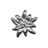 HAVASI GYOPÁR VADÁSZ KITŰZŐ