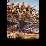 Headup Games Truberbrook (PC - Steam elektronikus játék licensz)