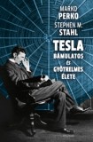 Helikon Kiadó Marko Perko - Stephen M. Stahl: Tesla bámulatos és gyötrelmes élete - könyv