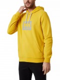 Helly Hansen Hh Box Hoodie