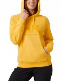 Helly Hansen W Hh Logo Hoodie