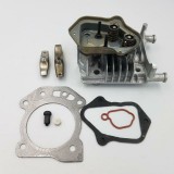 Hengerfej Briggs 103M02 komplett