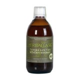 HerbaPharm HerbaClass "40" természetes növényi kivonat 500 ml