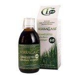 HerbaPharm HerbaClass "60" természetes növényi kivonat 300 ml