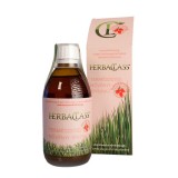 HerbaPharm HerbaClass Homoktövismag természetes növényi kivonat 300 ml