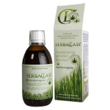HerbaPharm HerbaClass Rostkender + Kendermagolaj természetes növényi kivonat 300 ml