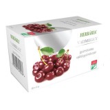 Herbária gyümölcstea vadmeggyes filteres 40g