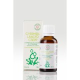 Herbárium 2000 kft. Gyermekláncfű cseppek -Bálint cseppek-