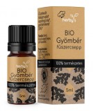 Herby's Bio gyömbér fűszercsepp 5 ml