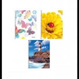 Herlitz 160 lapos A5 kockás spirálfüzet többféle (10408458)