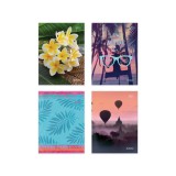 Herlitz: Zsebnaptár - B6 heti Mix