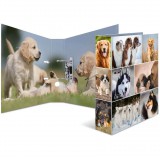 Herma Hunde A4 Karton Gyűrűs iratrendező - Kutyák mintás (7165)