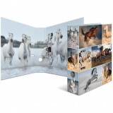 HERMA Ordner A4 Pferde (7164) (7164)