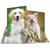 HERMA Sammelmappe A3 Hunde Polypropylen (7144)