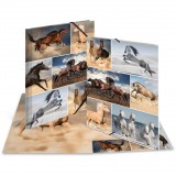 HERMA Sammelmappe A4 Pferde Pappe (19209) (19209)