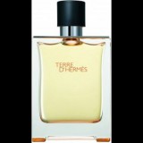 HERMES Terre d' Hermés EdT 100 ml (6100003)