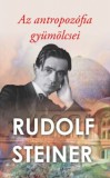 Hermit Kiadó Rudolf Steiner: Az antropozófia gyümölcsei - könyv