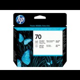 Hewlett-Packard HP 70 - light gray, photo black - printhead (C9407A)