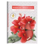 Hibiszkus fehér zsálya teamécses 6db