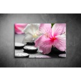 Hibiszkusz,Lávakövek Vászonkép 055 sfs-055