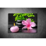 Hibiszkusz,Lávakövek Vászonkép 058 sfs-058