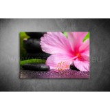 Hibiszkusz Vászonkép 057 sfs-057