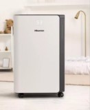 Hisense páramentesítő (D20CW)