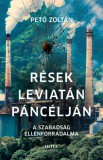Hitel Könyvkiadó Kft. Pető Zoltán: Rések Leviatán páncélján - könyv
