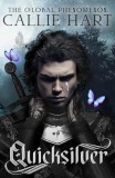 Hodderscape Quicksilver (Fae and Alchemy Series, Book 1 Hardback)