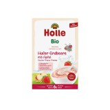 Holle Bio Zab tejkása eperrel és almával 6 hó 250g