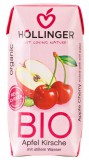 Höllinger Bio gyümölcsital alma-meggy 200 ml