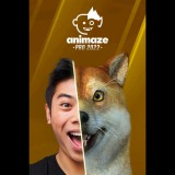 Holotech Studios Inc. Animaze Pro 22 - Lifetime License (August 2022 Feature Set) (PC - Steam elektronikus játék licensz)