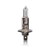 HOM H1 halogén izzó - 12V 55W - 1db