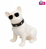 Home BT DOG Multimédia hangszóró