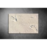 Homok Vászonkép 086 tm-086