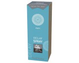 HOT Shiatsu Delay - magömlés késleltető spray férfiaknak (15ml)