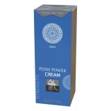 HOT Shiatsu Penis Power - stimuláló intim krém férfiaknak (30ml)