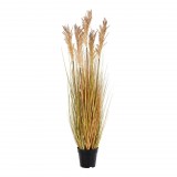 House Nordic Cirokfű műnövény, natúr, 110 cm