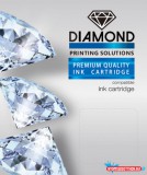 HP kompatibilis Utángyártott HP N9K08AE Tintapatron Black No.304XL DIAMOND