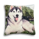 Husky mintás párna, 45 x 45 cm