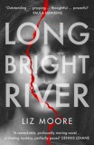 Hutchinson Ltd. Moore, Liz: Long Bright River - könyv