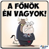 Hűtőmágnes, A főnök én vagyok