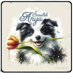 Hűtőmágnes, Anyák napja, Border Colie