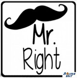 Hűtőmágnes, Mr Right