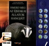 HVG Könyvek kiadó Caz Buckingham, Andrea Pinnington: Ismerd meg az éjszakai állatok hangját! - könyv